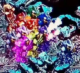 金剛ラストマリア3.jpg
